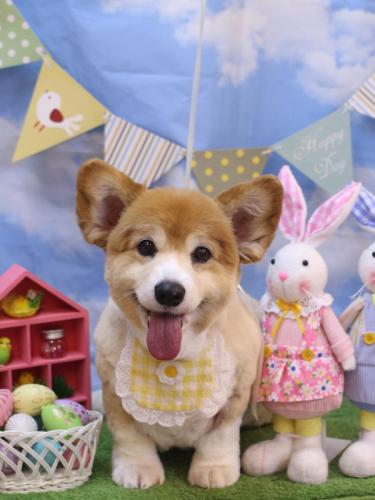 20240320ナナちゃん